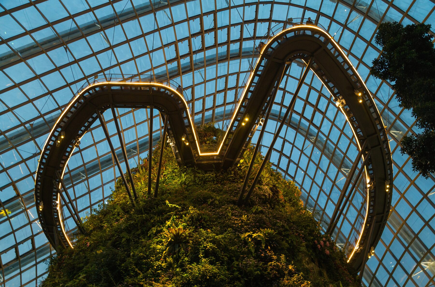 Aerial walkways in the cool-moist dome. Photograph via Wikimedia Commons.