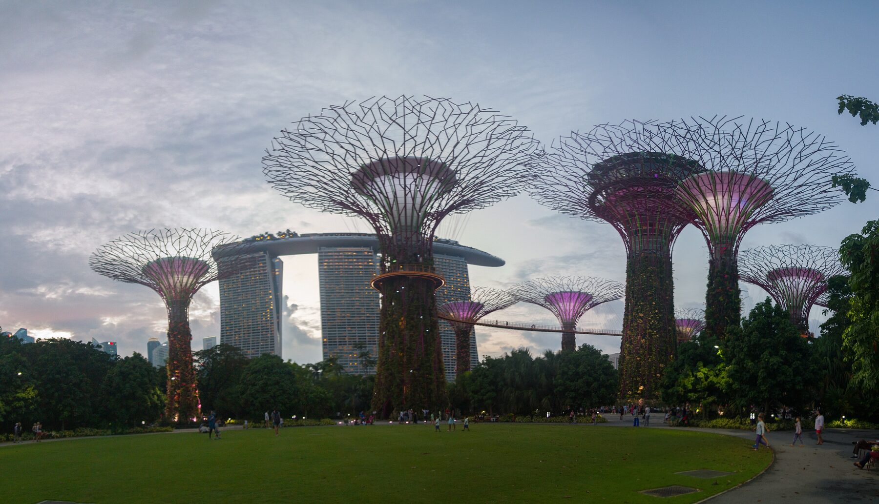 Outdoor lawn and the supertrees at dusk. Photograph via Wikimedia Commons.